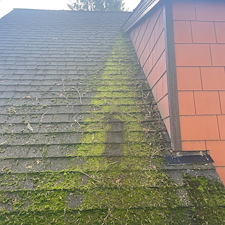 Roof-Moss-Removal-in-Pullman 1